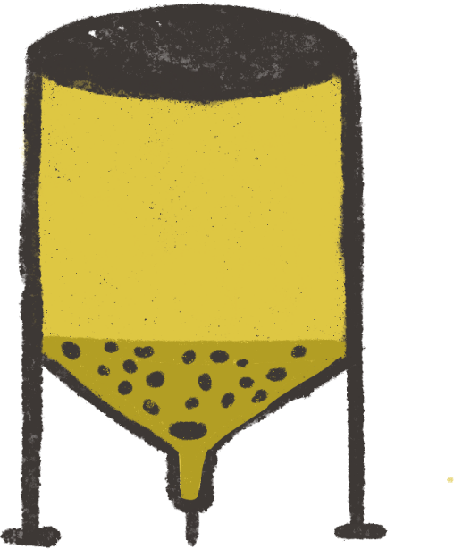 Biotechnology and beer brewing process products