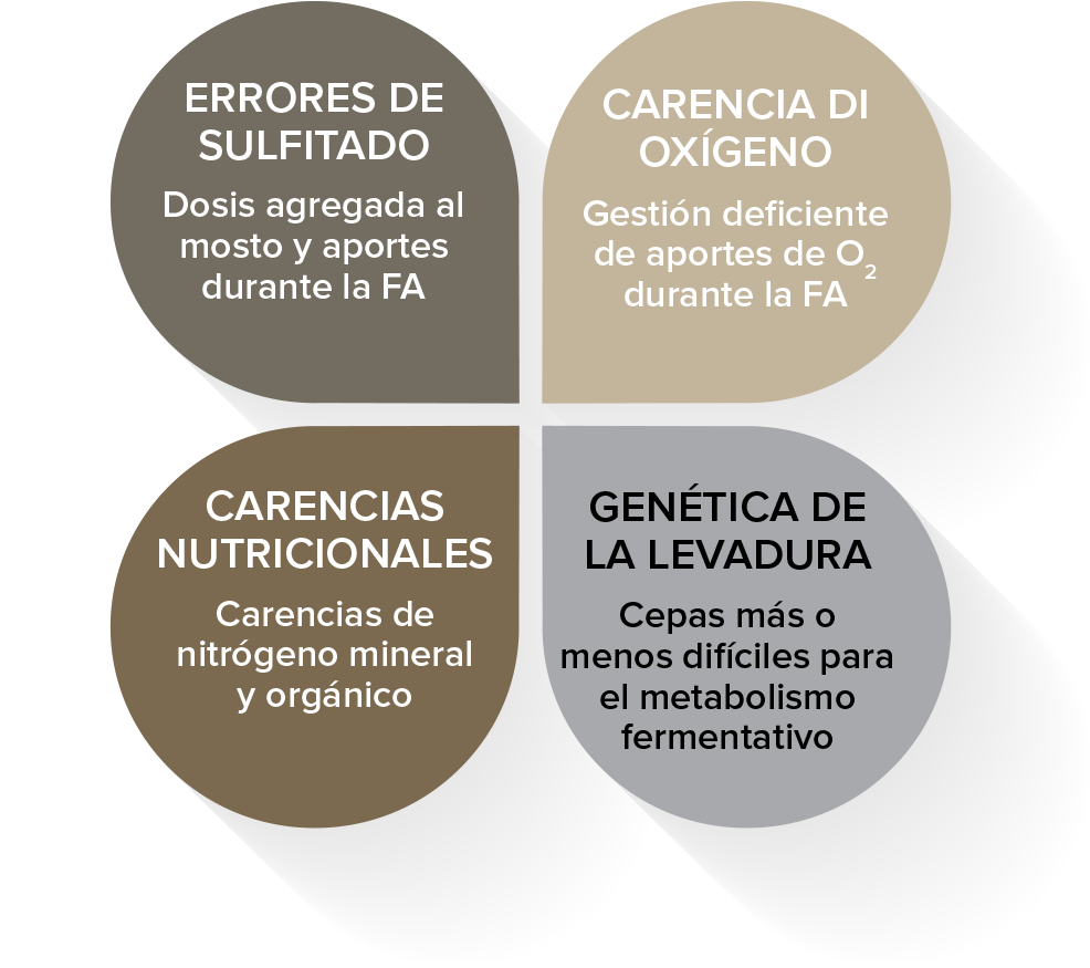 PROBLEMATICHE FERMENTAZIONE