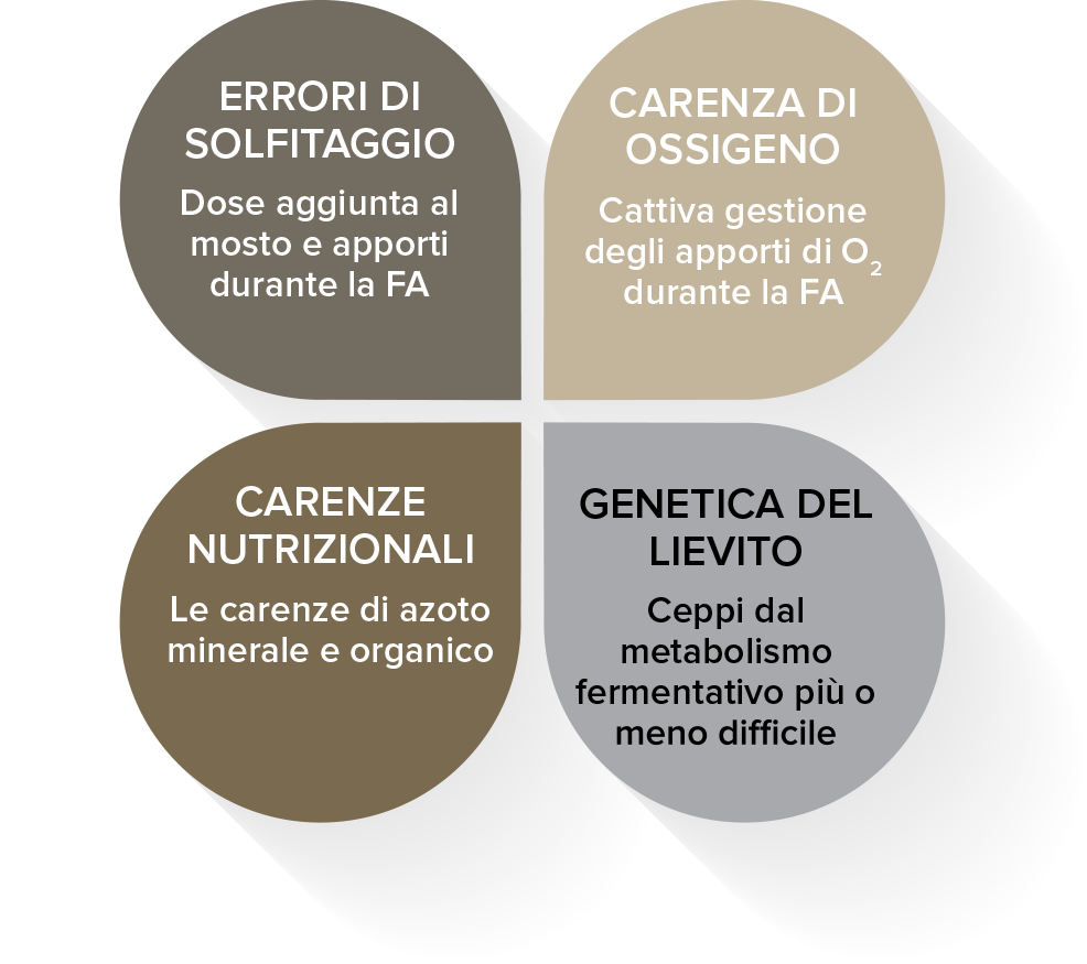 PROBLEMATICHE FERMENTAZIONE