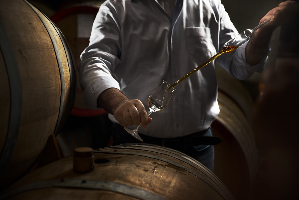 Winemaker takes Cognac and pours it into a glass for tasting “Cognac taken from barrel and poured into glass”