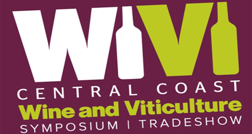 WiVi Central Cost